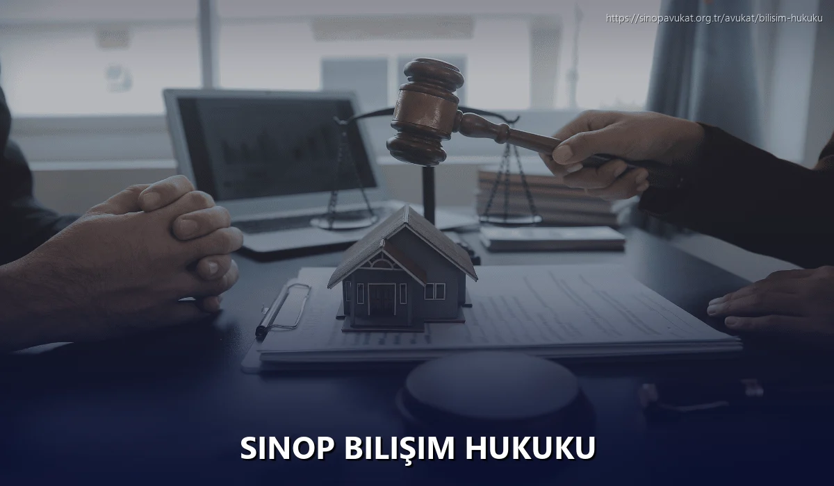 Sinop Bilişim Hukuku